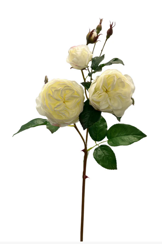 Natural Touch Cabbage Rose (3-Colors)