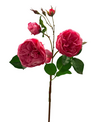 Natural Touch Cabbage Rose (3-Colors)