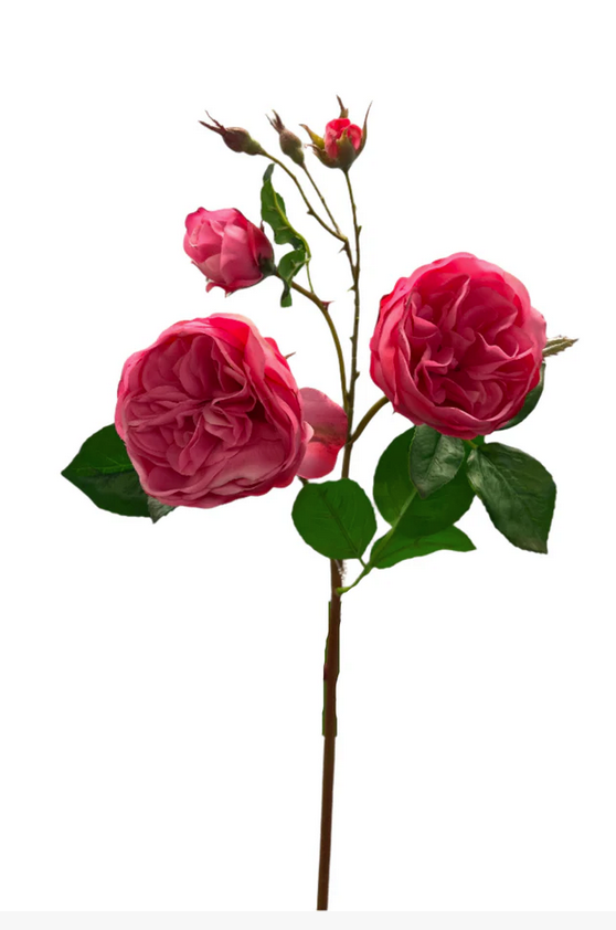 Natural Touch Cabbage Rose (3-Colors)