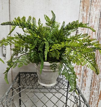 Custom Lace Fern in White Distressed Container