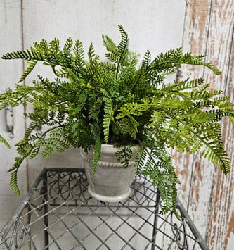 Custom Lace Fern in White Distressed Container