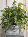 Custom Mixed Fern in Glass Pedestal Urn