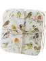 Set of 4 Birds on Branch Coasters