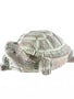 Verdegris Garden Turtle