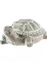 Verdegris Garden Turtle