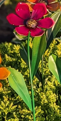 Lil Sunshine Flower Stake