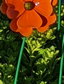 Starburst Flower Stake