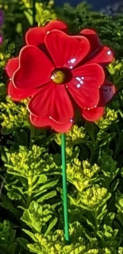 Starburst Flower Stake