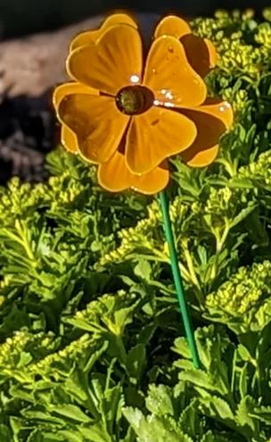 Starburst Flower Stake