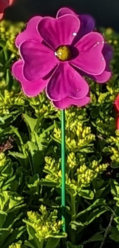 Starburst Flower Stake
