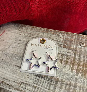 Jeweled Patriotic Silver Star Earrings