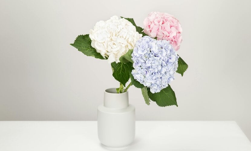 Centerpiece Ideas Using Silk Hydrangea Stems for Dining Tables and Buffets