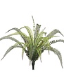 UV Protected Tall Boston Fern Fiddleheads