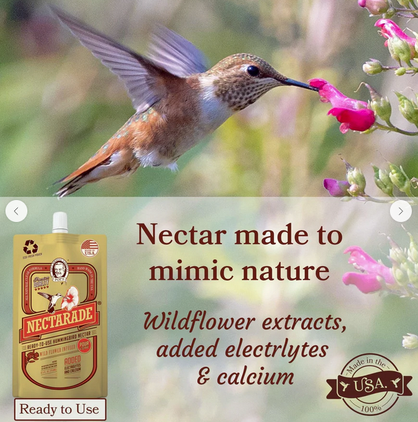 Ready to Use Nectarade Hummingbird Food 8.5 oz