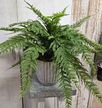 Custom UV Protected Leather Fern Bush