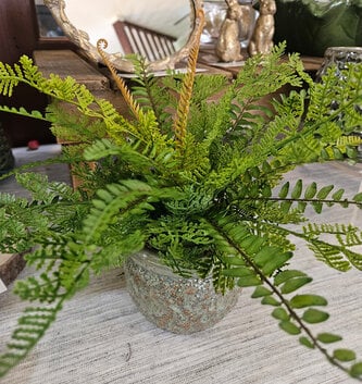 Custom Sword & Leather Fern in Green Terra Cotta Container