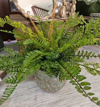 Custom Sword & Leather Fern in Green Terra Cotta Container