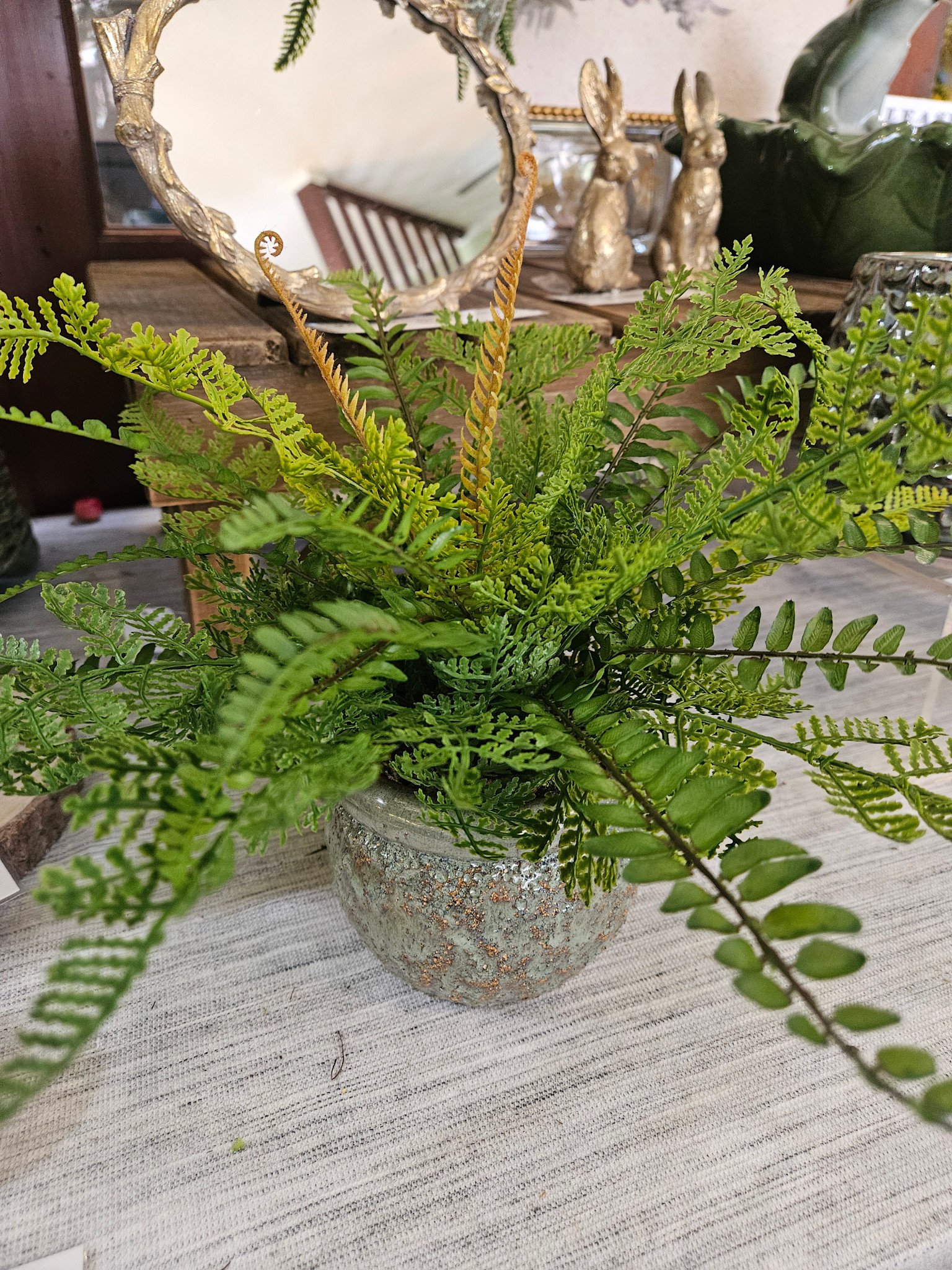Custom Sword & Leather Fern in Green Terra Cotta Container