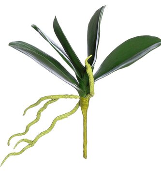 Natural Touch 9" Phalaenopsis Leaf Foliage