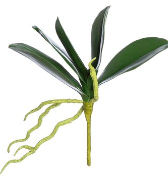 Natural Touch 9" Phalaenopsis Leaf Foliage