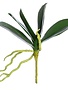 Natural Touch 9" Phalaenopsis Leaf Foliage