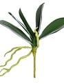 Natural Touch 9" Phalaenopsis Leaf Foliage