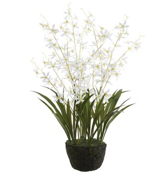 27" Dendrobium Orchid Drop In