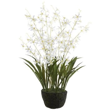 27" Dendrobium Orchid Drop In