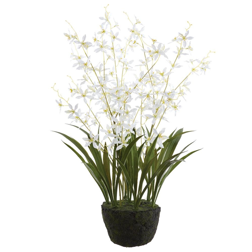 27" Dendrobium Orchid Drop In