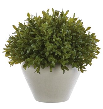 10" Tea Leaf in Urn