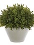 10" Tea Leaf in Urn