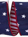 2.5" x 10 Yards Reversible Stars & Stripes Dupioni Wired Ribbon