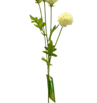 Mini Pom Pom Mum (2 Colors)