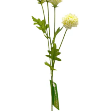 Mini Pom Pom Mum (2 Colors)