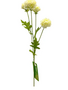 Mini Pom Pom Mum (2 Colors)
