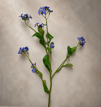 19" Forget-Me-Not Stem