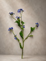 19" Forget-Me-Not Stem