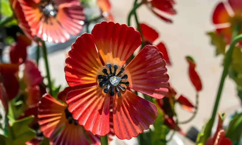 Garden Yard Stakes vs. Garden Flags: Which Outdoor Décor Is Right for You?