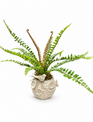 Custom Sword Fern in Songbird Vase