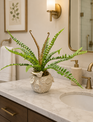 Custom Sword Fern in Songbird Vase