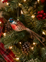 Glass Pheasant with Feathertail Ornament
