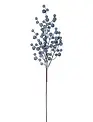 Frosted Blueberry Spray
