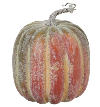Vine Ripened Pumpkin
