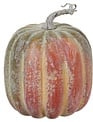 Vine Ripened Pumpkin
