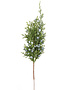 Mini Juniper Pick
