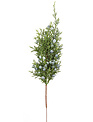 Mini Juniper Pick