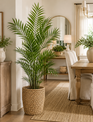 Sun Valley Natural Grass Planter