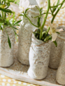 Whitewashed Embossed Multi Vase