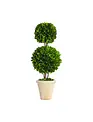 Double Ball Preserved Boxwood Topiary