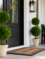 Double Ball Preserved Boxwood Topiary